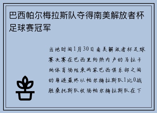 巴西帕尔梅拉斯队夺得南美解放者杯足球赛冠军