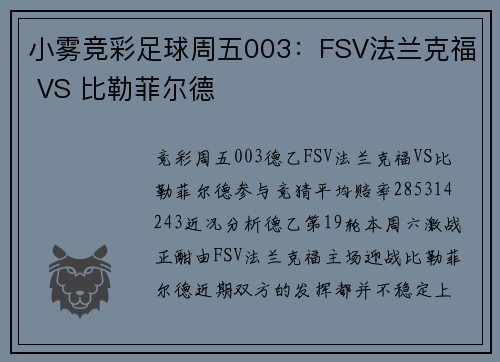小雾竞彩足球周五003：FSV法兰克福 VS 比勒菲尔德