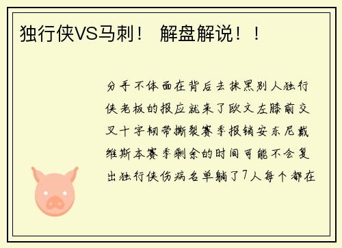 独行侠VS马刺！ 解盘解说！！