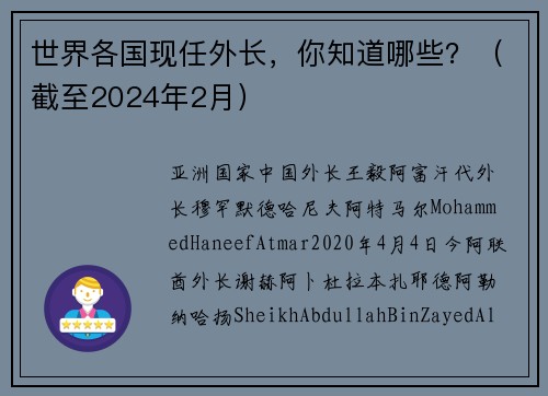 世界各国现任外长，你知道哪些？（截至2024年2月）